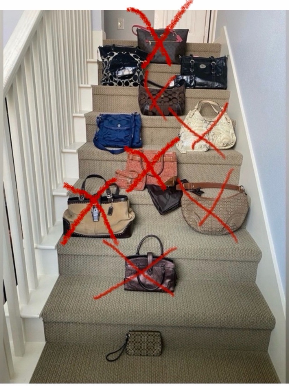 Coach Women's Bags Collection - Black, Blue, Brown, Cream, Tan